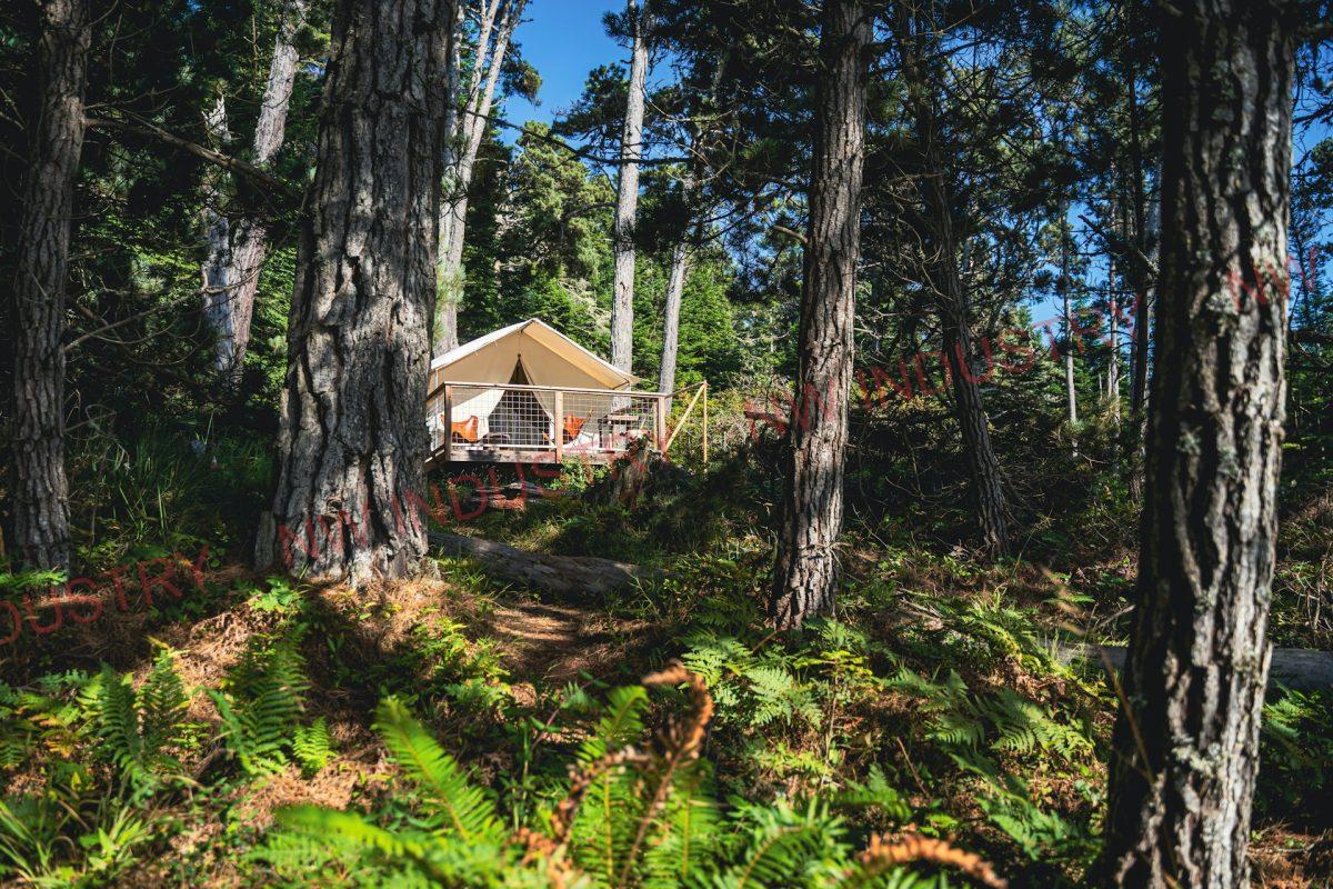 cheap camping tents for sale in USA: Jungle tenting
